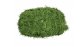 Маскировочная сетка Нитекс Папоротник Хвоя 2х3 метра зеленая картинка 3