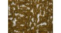 Маскировочная сетка Нитекс Папоротник Трава 1,5х2 метра бежевая  картинка 9